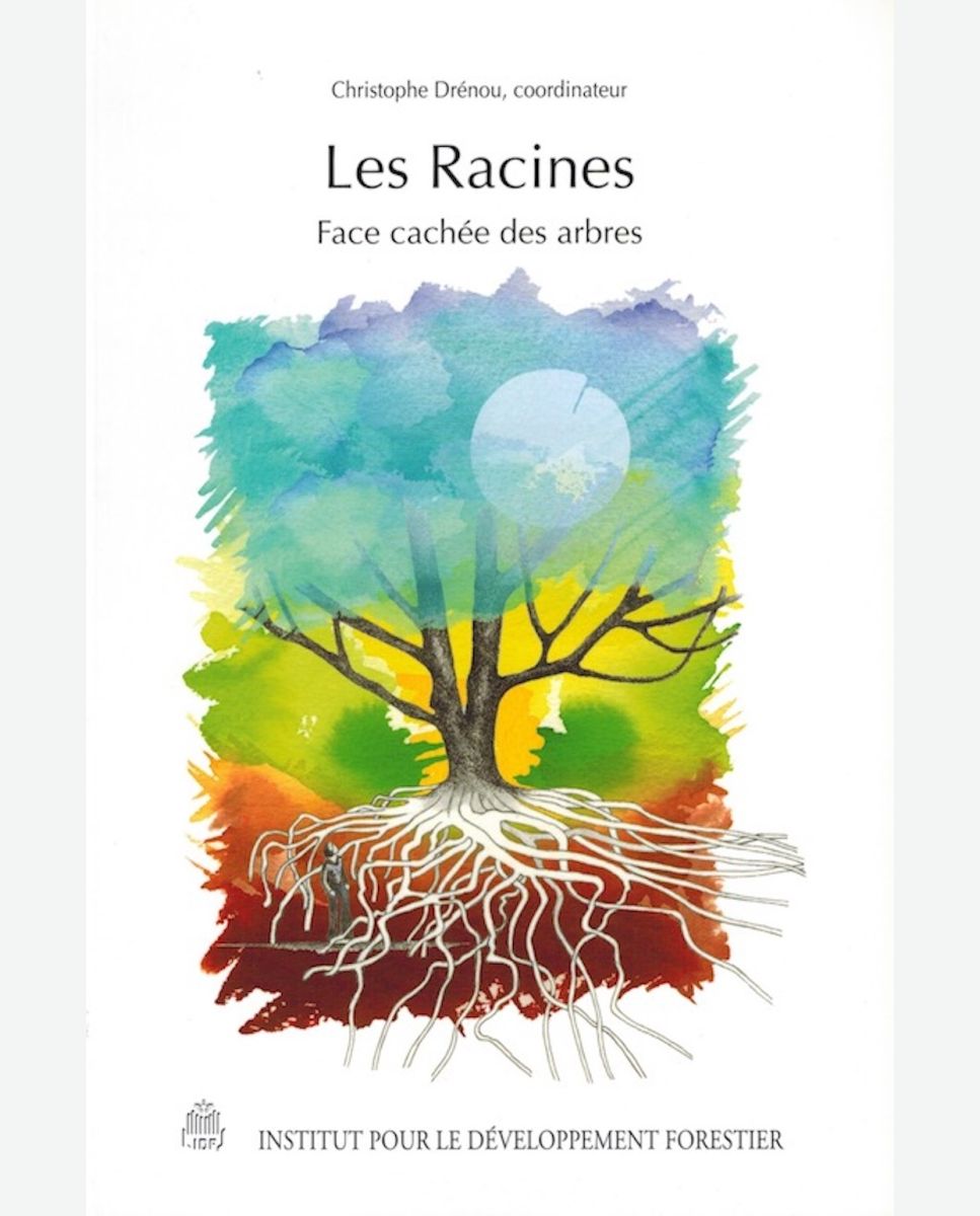 Christophe Drénou: Les racines (French language, 2006, Institut pour le développement forestier CNPF)